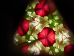 PlanToys PlanToys Kaleidoskop