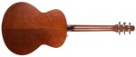 Seagull Entourage Mini Jumbo Rustic Burst
