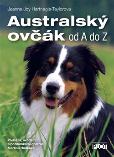 Australský ovčák Jeanne Joy