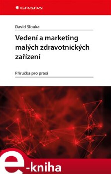 Vedení a marketing malých zdravotnických zařízení. Příručka pro praxi - David Slouka e-kniha