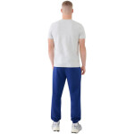 Kalhoty 4F Cas M1139 M 4FWMM00TTROM1139 031S xxl