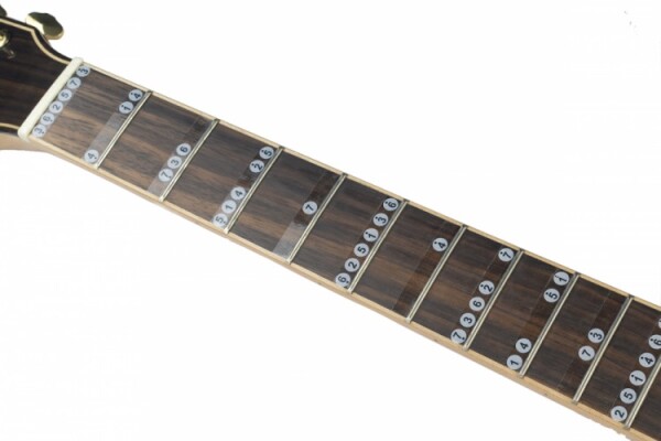 Guitto GFM-01 Fretboard Stickers