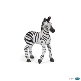 Zebra mládě