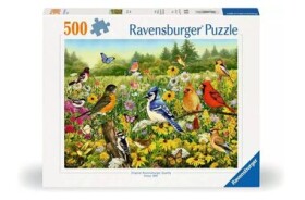 Ravensburger Ptačí louka