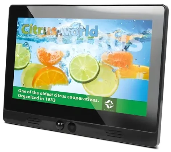 7" Braun 7 Motion / Fotorámeček / 1024x600px / 16:9 LED displej / podpora FullHD / 4GB paměť (DB21421)