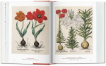 Garden Eden. Masterpieces of Botanical Illustration. 40th Anniversary Edition Hans Walter Lack