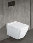 VILLEROY & BOCH - ViConnect Ovládací tlačítko splachování M300, lesklá šedá/kartáčovaná nerez 922160RA