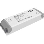 BIG WHITE (SLV) Můstkový LED driver 42 W, 500 mA pro NUMINOS®, včetně radiofrekvenčního rozhraní pro modul RF, DALI 1006459