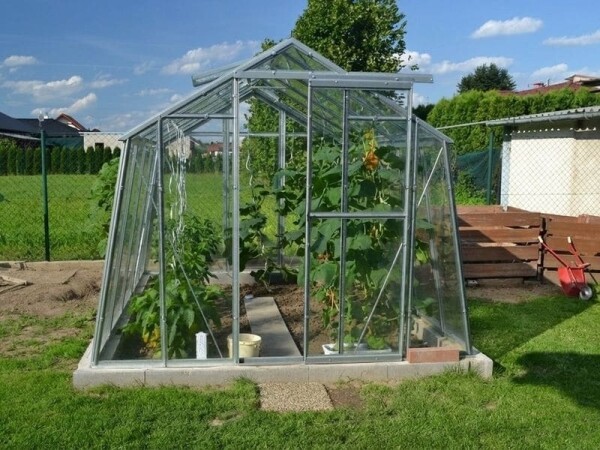 Skleník ze skla LIMES Viva V7/4,5, š. 2,47 m × d. 4,48 m, tl. skla 3 mm