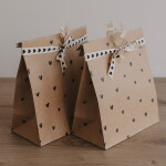 Eulenschnitt Papírový sáček Illustrations 27 × 21 cm – set 6 ks, hnědá barva, přírodní barva, papír