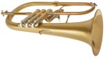 VanLaar B1 Brushed, lacquered