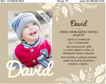 Fotorámeček se jménem - David - Albi