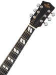 Sigma Guitars DM-SG5