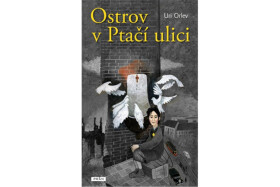 Ostrov Ptačí ulici