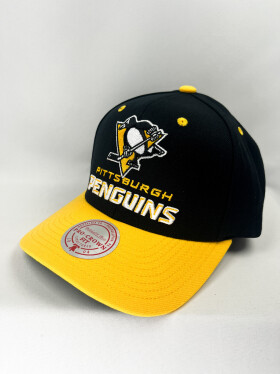 Mitchell & Ness Pánská Kšiltovka Pittsburgh Penguins Nhl All In 2.0 Pro Snapback Penguins