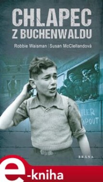 Chlapec z Buchenwaldu - Susan McClellandová e-kniha