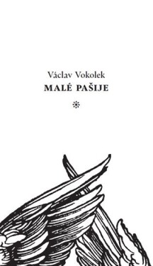 Malé pašije Václav Vokolek