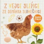 Vejce slepice, ze semínka slunečnice Životní cyklus