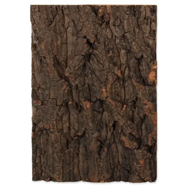 Repti Planet Pozadí korek přírodní 19x27.3x2cm (007-54040)