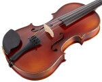 Gewa Allegro Violin Set 4/4