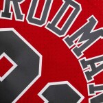 Mitchell & Ness Pánský dres Chicago Bulls NBA Dennis Rodman #91 1997-98 Swingman - Červená Velikost: S