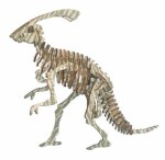 Woodcraft Dřevěné 3D puzzle Parasaurolophus dílků