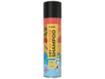 Ameté Suchý šampon s UV filtrem 200 ml