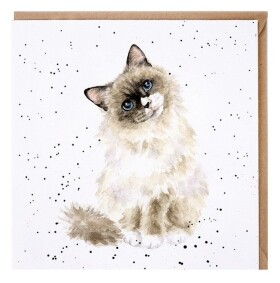Přání Wrendale Designs Paws for Thought, 15x15 cm - Kočka