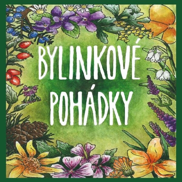 Bylinkové pohádky - L. & V. Hanusovi - audiokniha