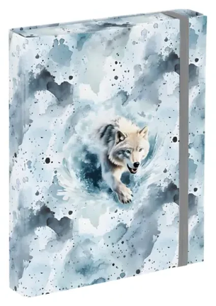 BAAGL Desky na školní sešity A5 Polar / 17 x 23 x 3 cm