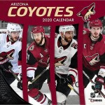 JF Turner Kalendář Arizona Coyotes NHL 2020 Wall x
