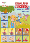 Pexeso Human Body