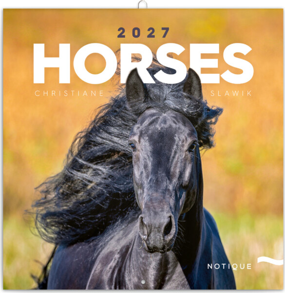 NOTIQUE Poznámkový kalendář Koně – Christiane Slawik 2027, 30 x 30 cm