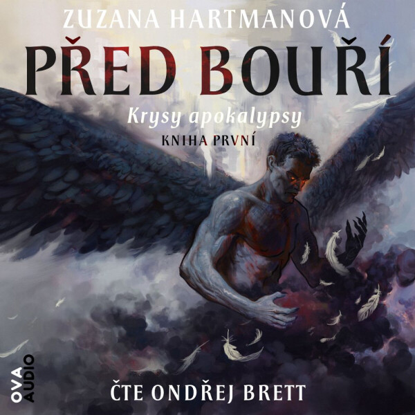 Před bouří - Zuzana Hartmanová - audiokniha