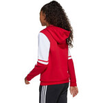 Adidas Squadra 25 Sweat Hoody Jr JD4805 Mikina 128 cm