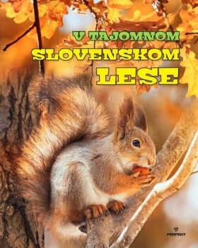 V tajomnom slovenskom lese - Roman Jadroň; Miroslav Saniga