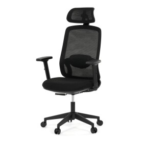 Kancelářská židle, synchronní mechanismus, černá síťovina, KA-S2176 BK