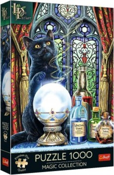 Puzzle Magic Collection: Čarodějnický učeň 1000 dílků 48x68,3cm v krabici 27x40x6cm