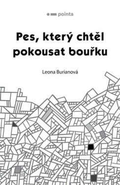 Pes, který chtěl pokousat bouřku