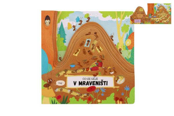 Co se děje mraveništi