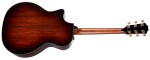 Taylor PS14ce