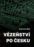Vězeňství po česku