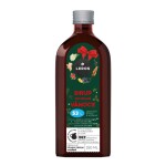 Leros Sirup Kouzelné Vánoce 250ml