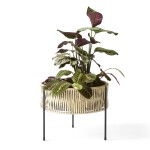 Audo Copenhagen Květináč Umanoff 32,5 cm, černá barva, přírodní barva, kov