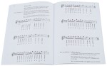 MS How To Play The Penny Whistle