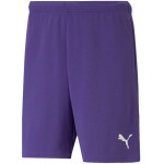 Puma teamRise Short Prist 704942 10