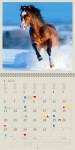 Kalendář nástěnný 2025 Horses