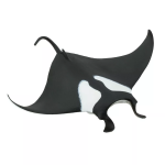 Safari Ltd. Safari Ltd. Manta obrovská