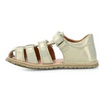 Froddo Flexy F G3150283-12 Gold Shine