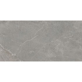 Dlažba Wermex Light Grey 59.8/119.8